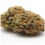 Шишки AK47 (Гидропоника, Бошка) VHQ в Нарткале Шишки AK47 (Гидропоника, Бошка) VHQ в Нарткале